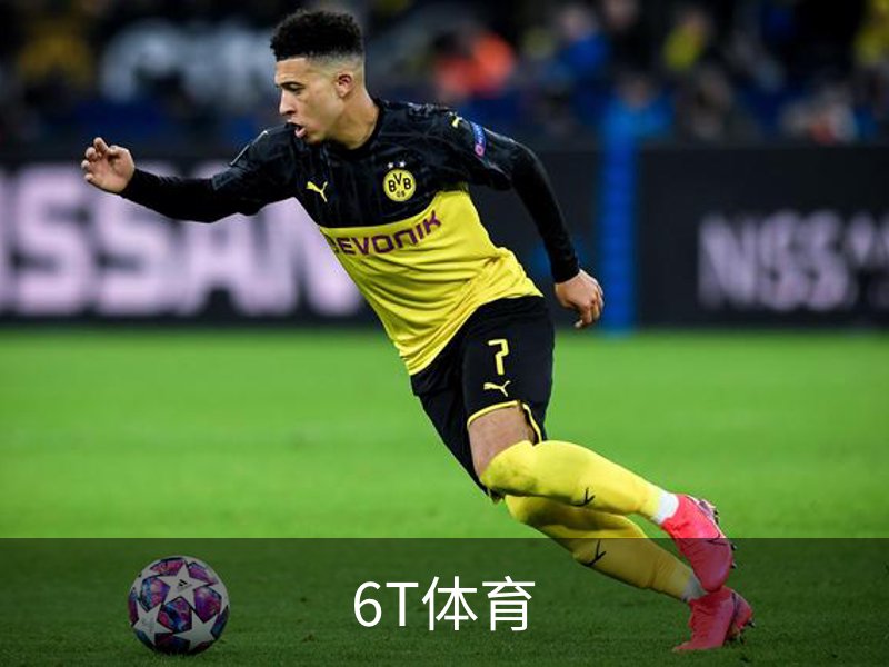 了解6T体育